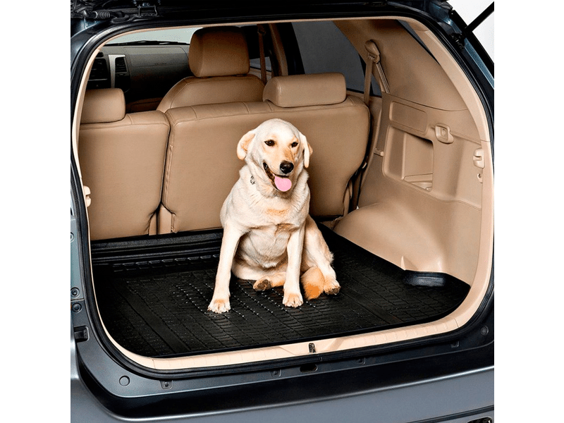 Tapete Bandeja 3D Premium instalado — proteção completa do assoalho